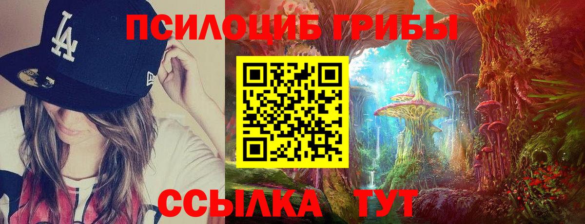 купить наркоту  Галлюциногенные грибы Cubensis  Псилоцибиновые грибы Psilocybine cubensis  Вход с VPN  Пенза 