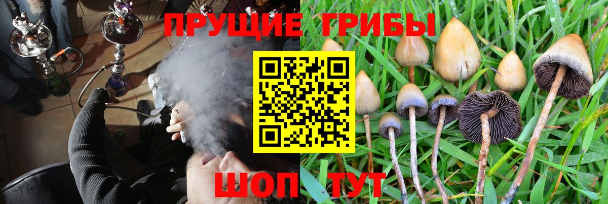 Галлюциногенные грибы GOLDEN TEACHER Пенза